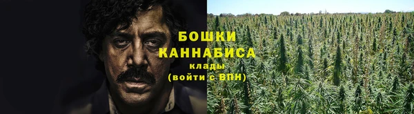 шишки Армянск