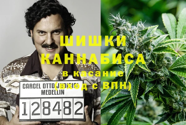 шишки Армянск