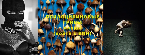 шишки Армянск