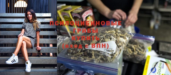шишки Армянск