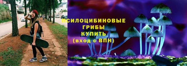 гидропоника Арсеньев