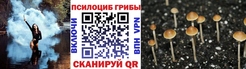 Псилоцибиновые грибы Magic Shrooms  Ревда 